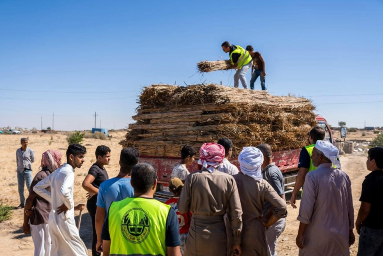 دور مركز الأمل في مجابهة الظروف التي مرت بها سيناء