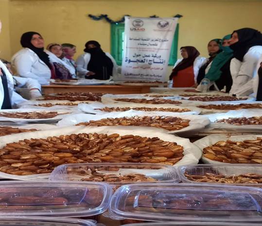  انتاج العجوه